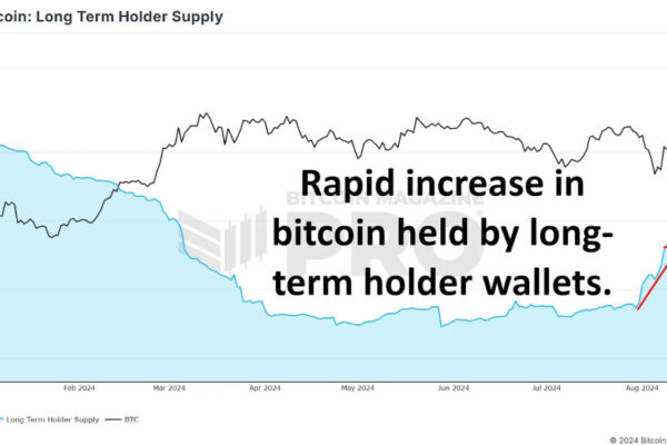 Are Bitcoin Whales Buying The Dip?