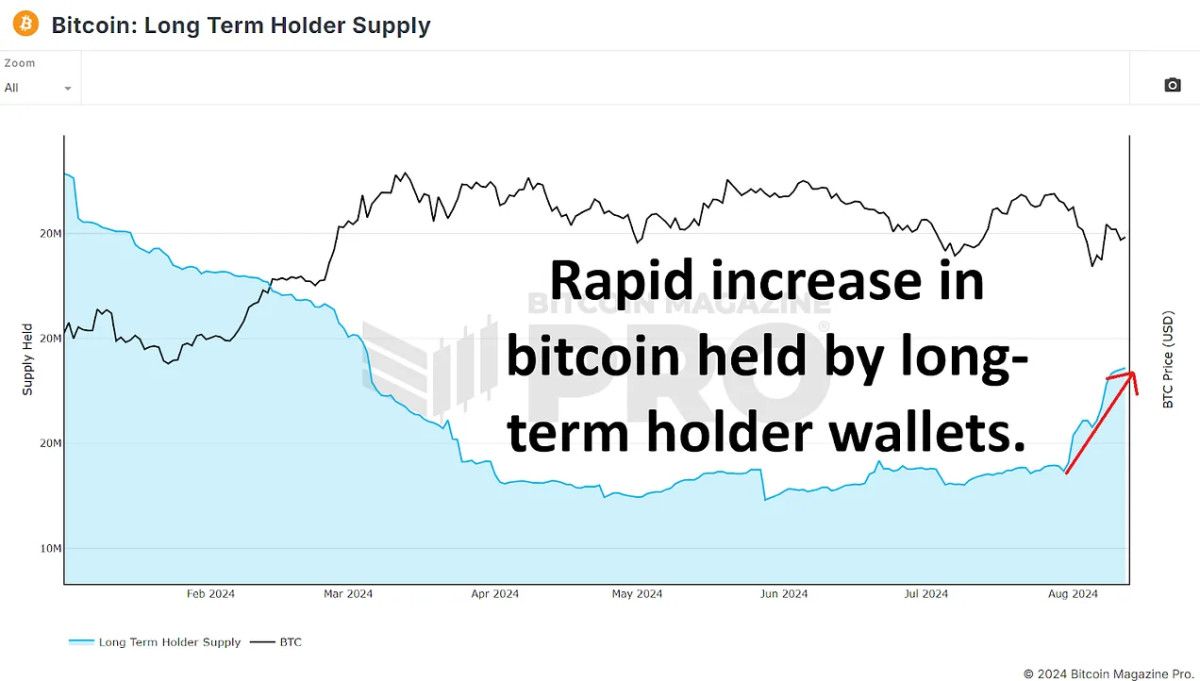 Are Bitcoin Whales Buying The Dip?