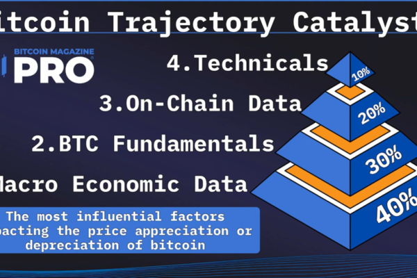 How to Develop a Data-Driven Bitcoin Investment Strategy