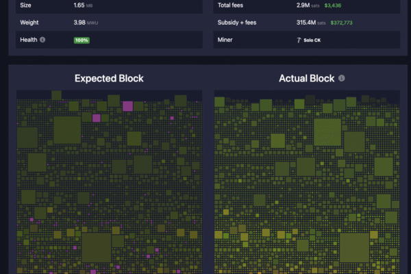 Solo Bitcoin Miner Successfully Mines Block