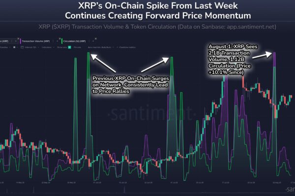 This XRP Signal Consistently Foreshadows Price Jumps: Analytics Firm