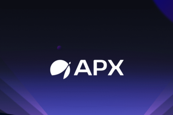 Why APX Finance (APX) Token Rises Over 120%?