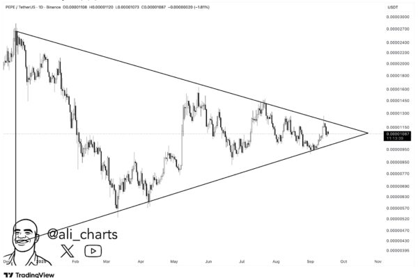 PEPE Gearing Up For Triangle Breakout: Is A 78% Move Coming?
