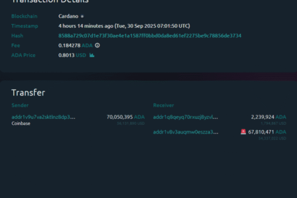 Cardano Whale Makes  Million Coinbase Outflow: Sign Of Dip Buying?