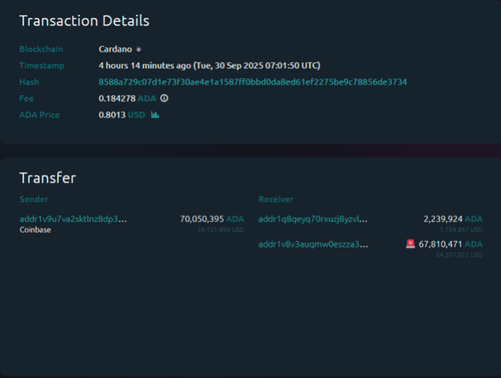 Cardano Whale Makes  Million Coinbase Outflow: Sign Of Dip Buying?