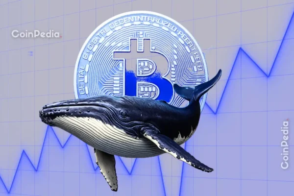 Is BTC Ready for Rebound?