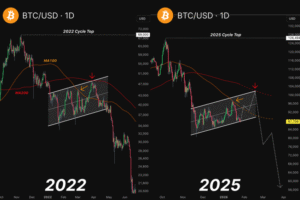 Bitcoin Price At Risk Of 50% Correction As 2022 Playbook Repeats