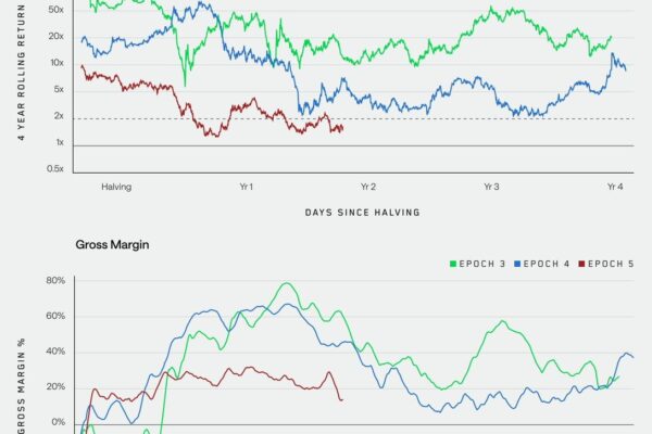 Bitcoin Miners Need AI, Yield Strategies to Survive
