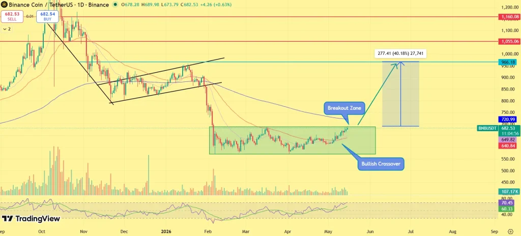 Can Binance Coin Rally 40% as Whales Accumulate?