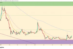 SUI Price Eyes .60 as Buybacks Cross 600K
